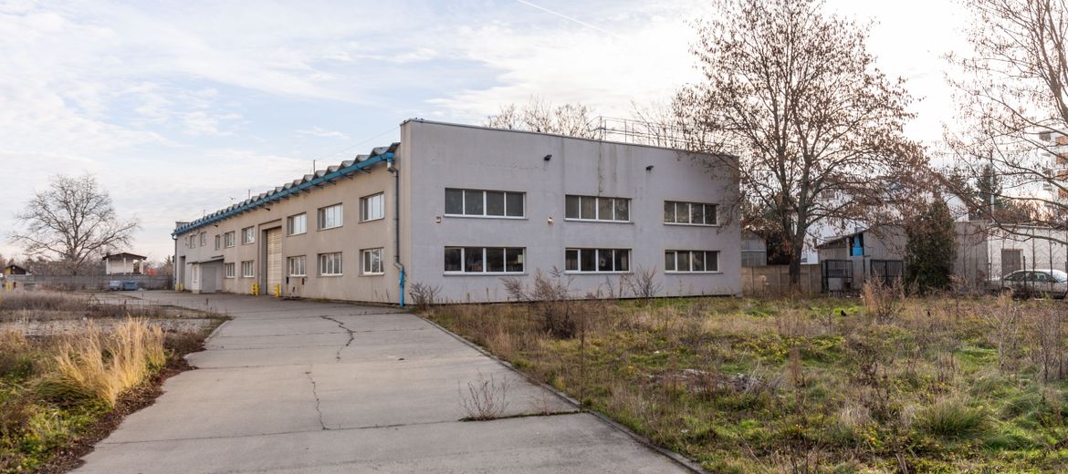 Wrocław: DewelopART znów stawia