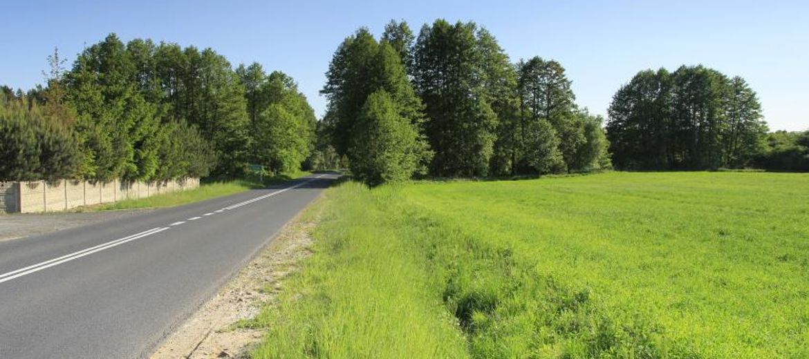 Kobyla Góra i okolice.