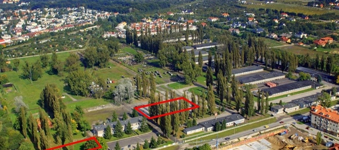 Mieszkania czy parki -