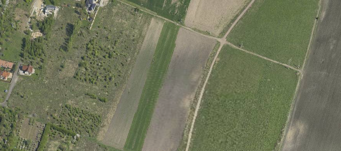 Wrocław: Państwo sprzedaje ponad