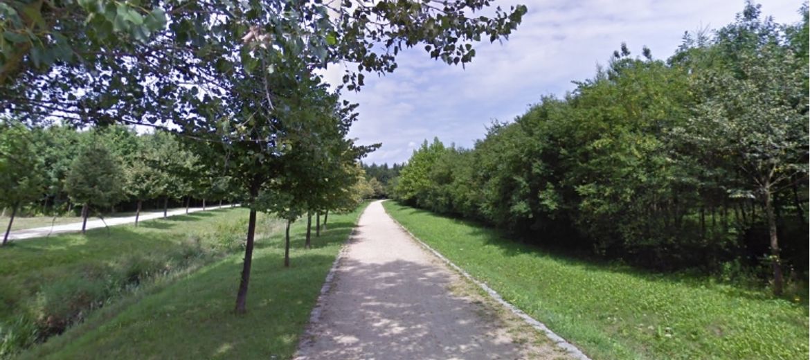 W trzech wrocławskich parkach