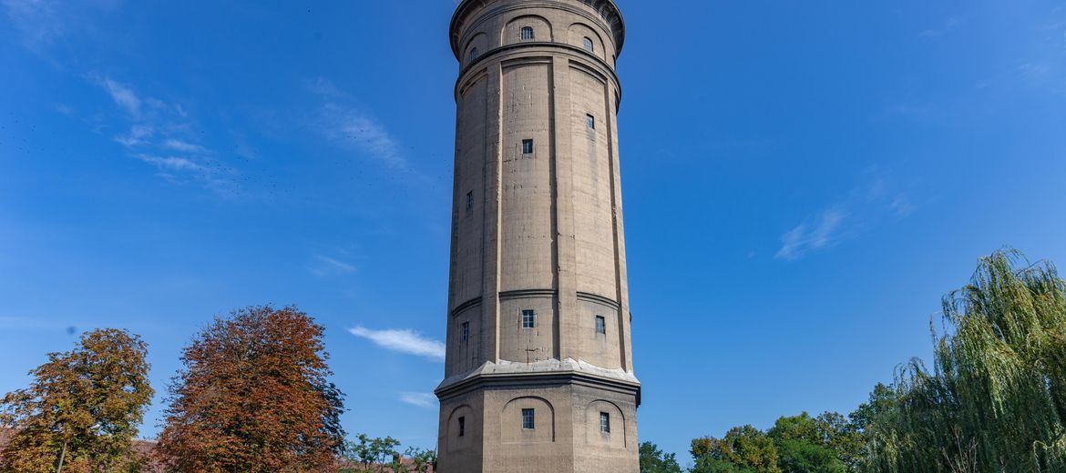 Wrocław: Jaki los czeka