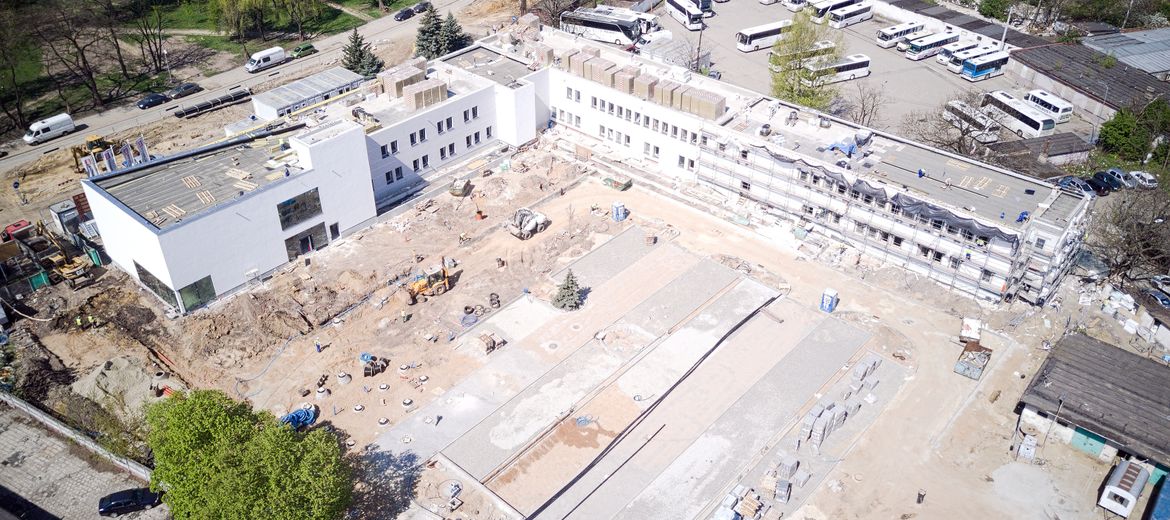 Wrocław: Wycięli drzewo przy