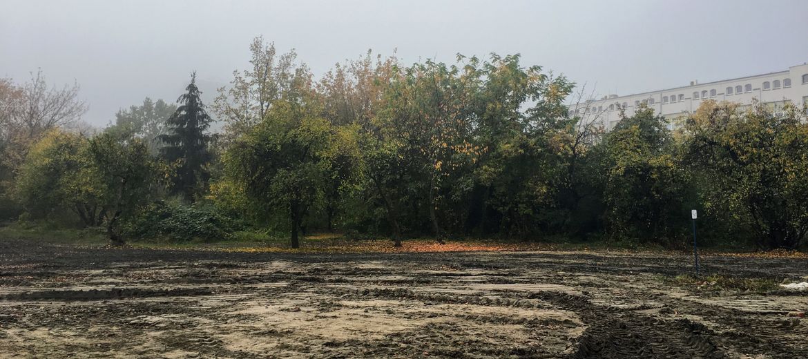 Ponad 8 mln złotych