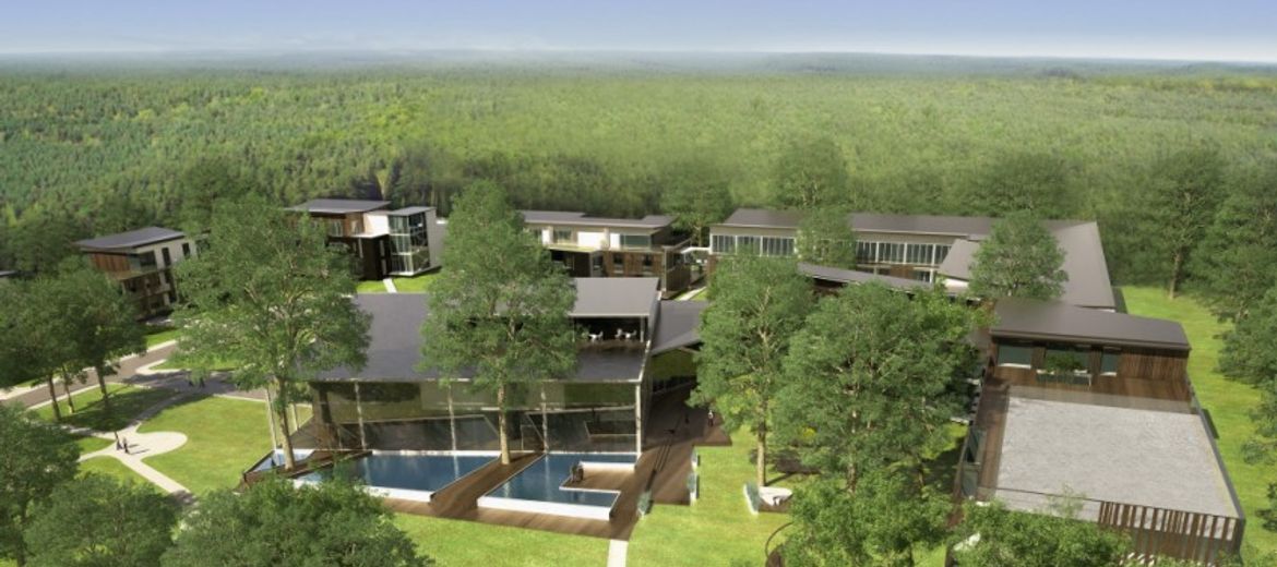 Apartamenty w sercu Puszczy