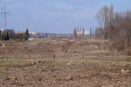 Kraków: Rozstrzygnięto przetarg kto wybuduje wschodnią obwodnicę Krakowa