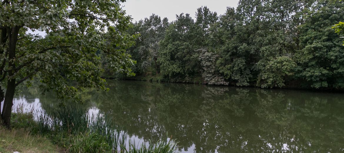 Wrocław: Poznańska firma przygotuje