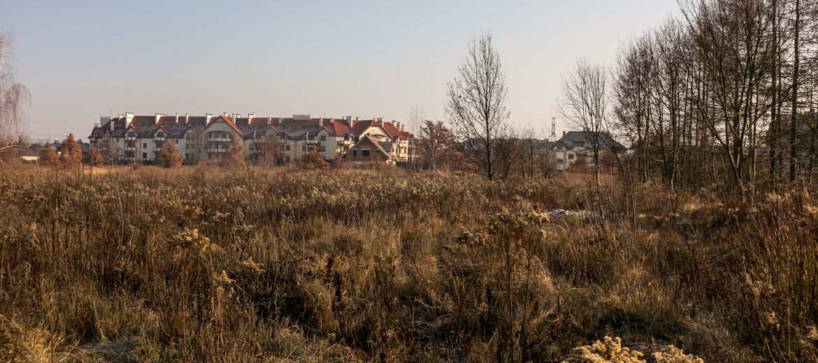 Wrocław: Nie będzie bloków