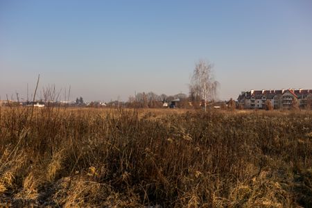 Wrocław: Develia zbuduje ponad 600 mieszkań blisko granicy Ołtaszyna i Wojszyc