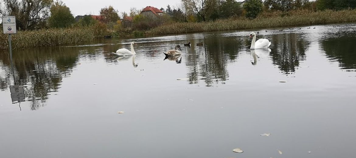 Na północy Wrocławia powstanie