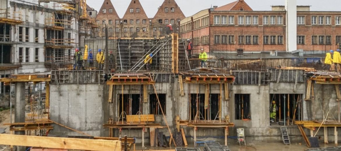 Kompleks Nowa Motława pnie